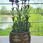 Mieszkanie Nad Ilawka - 2 Pokoje, Kuchnia, Lazienka, Balkon, Parking, Wi-fi Apartment *