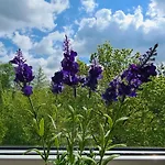 Mieszkanie Nad Ilawka - 2 Pokoje, Kuchnia, Lazienka, Balkon, Parking, Wi-fi *