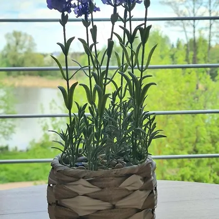 Mieszkanie Nad Ilawka - 2 Pokoje, Kuchnia, Lazienka, Balkon, Parking, Wi-fi 公寓 *