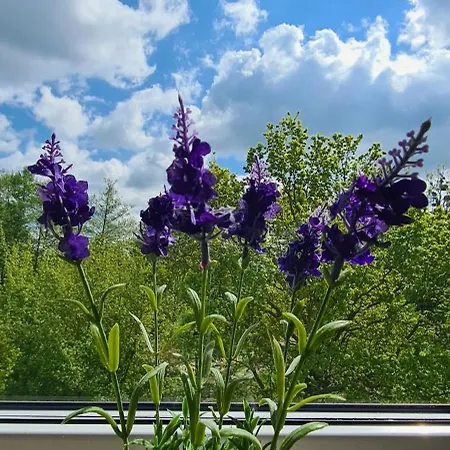 Mieszkanie Nad Ilawka - 2 Pokoje, Kuchnia, Lazienka, Balkon, Parking, Wi-fi *