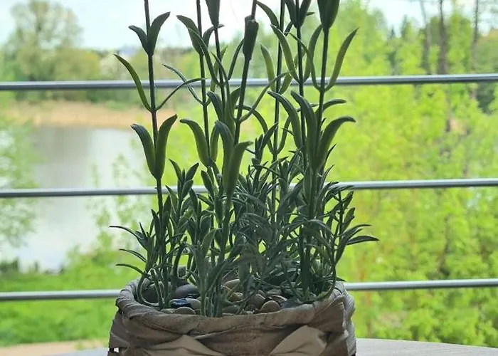 Mieszkanie Nad Ilawka - 2 Pokoje, Kuchnia, Lazienka, Balkon, Parking, Wi-fi 公寓 *